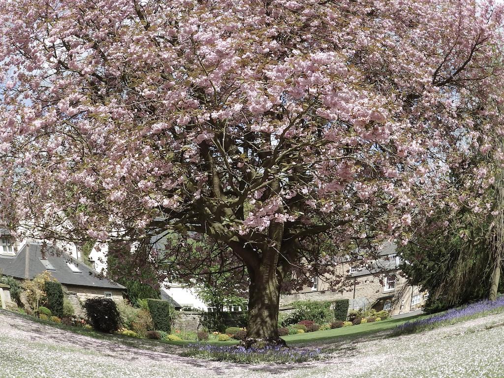 Hotel Hedgefield House Ryton  Exterior foto
